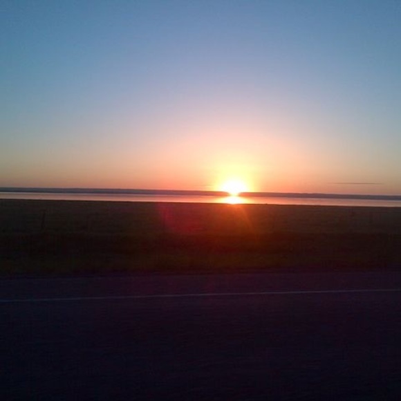 colaisfransoo